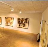 Galleriet4